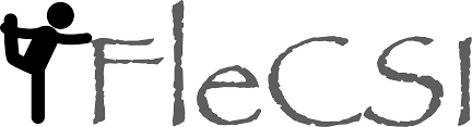 FleCSI
